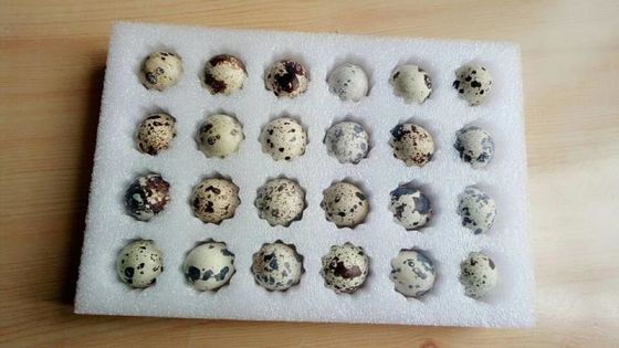 100mm プラスチック包装ケース 泡付き包装の製造のための切削機